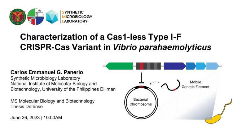 MS Thesis Defense: Carlos Emmanuel Panerio