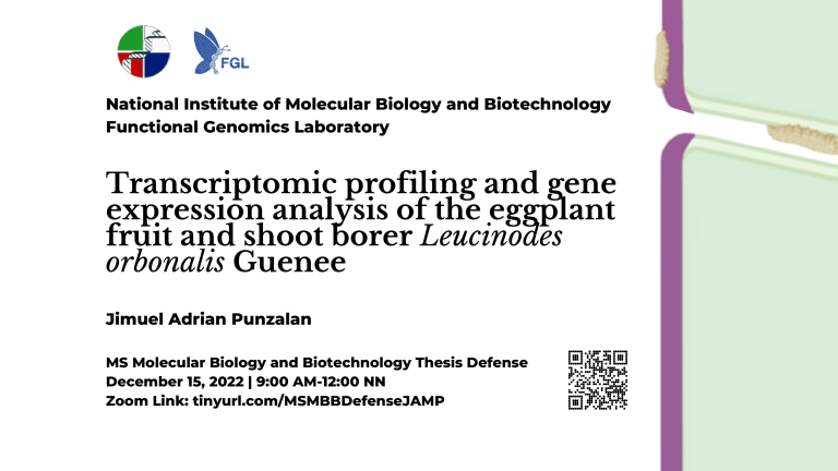 MS Thesis Defense: Jimuel Adrian Punzalan
