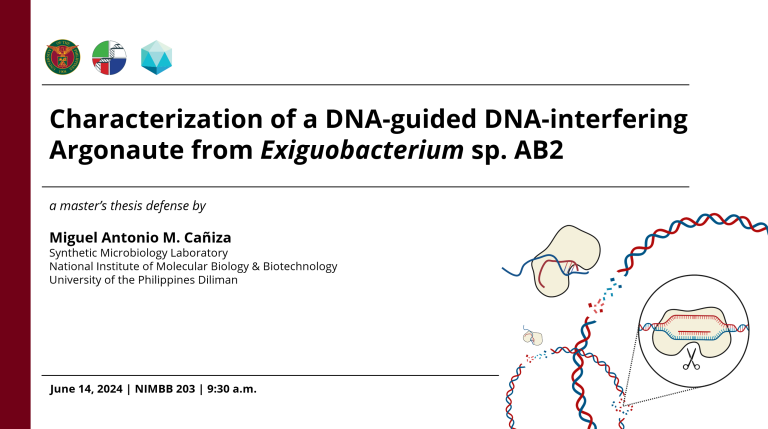 MS Thesis Defense: Miguel Antonio Cañiza
